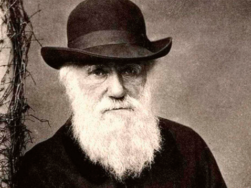 Conheça o segredo de Darwin – e outros gênios – para produtividade e criatividade